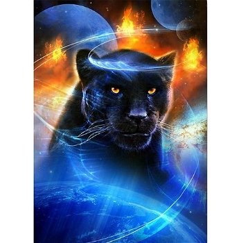 Hot Sale Diamond Painting Universe Panther Full /Square - 0