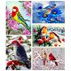 HUACAN Full Square Diamond Painting Bird Diamond Embroidery - 0 - Thumbnail