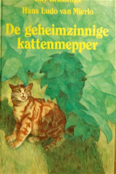 De geheimzinnige kattenmepper en andere verhalen - 0