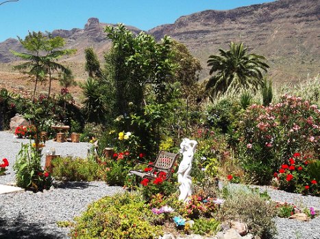 en GRAN CANARIA: stacaravan met grote tuin - 7