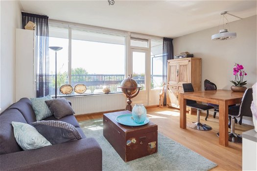 appartement te huur in IJmuiden - 1