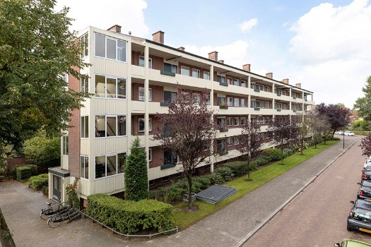 Apeldoorn - Appartement te huur - 2