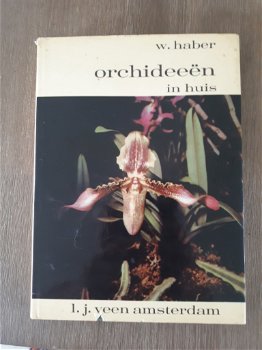 Orchideeen in huis - W. Haber - 0