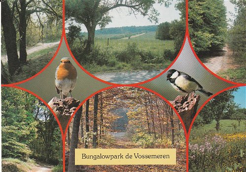 Bungalowpark de Vossemeren - 0