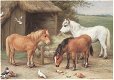 Dierenkaart Paardjes - 0 - Thumbnail