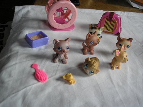 Littlest pet shop - div. Huisje , dieren enz. - 3