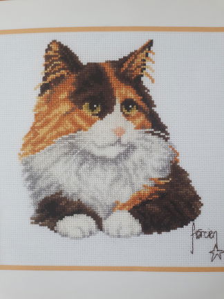 Borduurpakket " POES " NIEUW ! - nr. 1