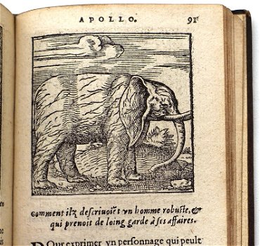 Sculptures ou Graveures Sacrees d’Orus Apollo 1553 194 gravures - 0