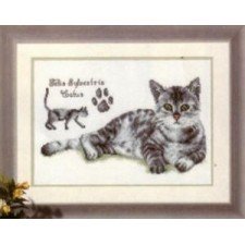 Borduurpakket " POES " NIEUW !