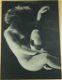 Études de Nus 1948 24 Heliogravures o.a. Brassaï Nora Dumas - 5 - Thumbnail