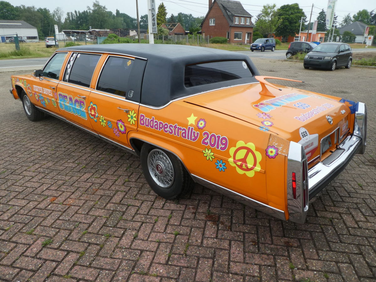 Cadillac Brougham Limousine - Afbeelding 4