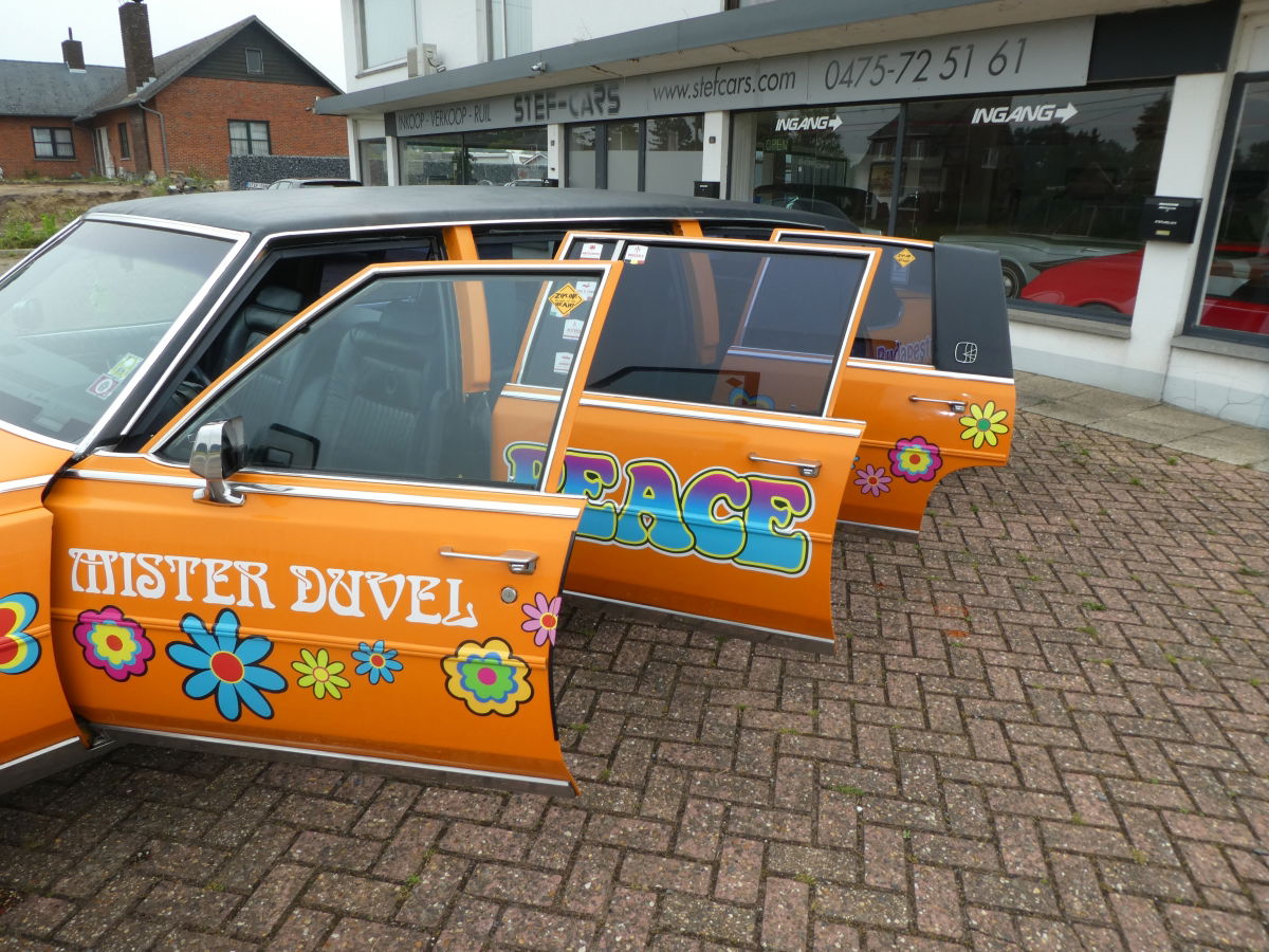 Cadillac Brougham Limousine - Afbeelding 5
