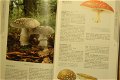 Fungi of Britain and Northern Europe - 1 - Thumbnail