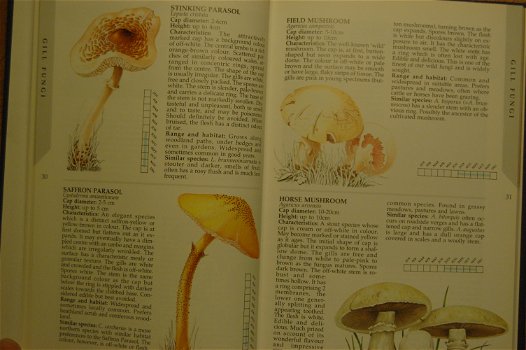 Fungi of Britain and Northern Europe - 2