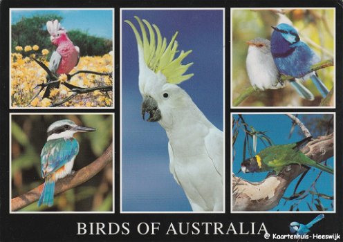 Australie Birds of Australia - 0