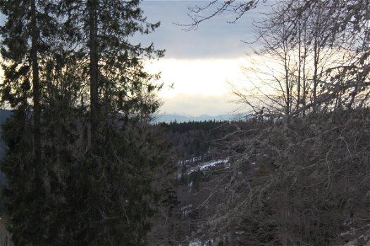 Uniek Landhuis tegen de Feldberg aangelegen - 3