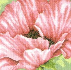 Borduurpakket ROZE PAPAVER Nieuw !