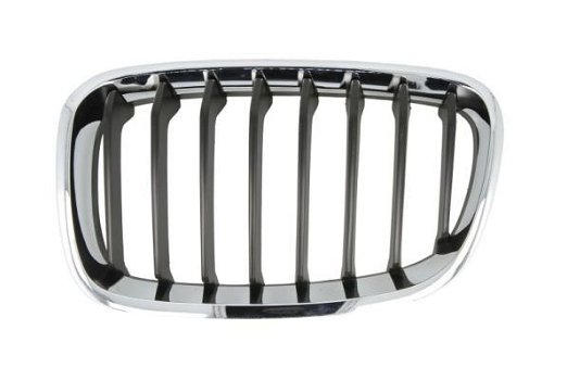 Radiateurgrille Grill Rechts BMW 1 F20 / F21 2011-2015 - 0
