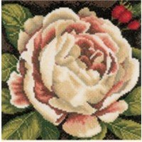 Borduurpakket White Rose Nieuw !