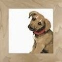 Borduurpakket PUPPY NIEUW !