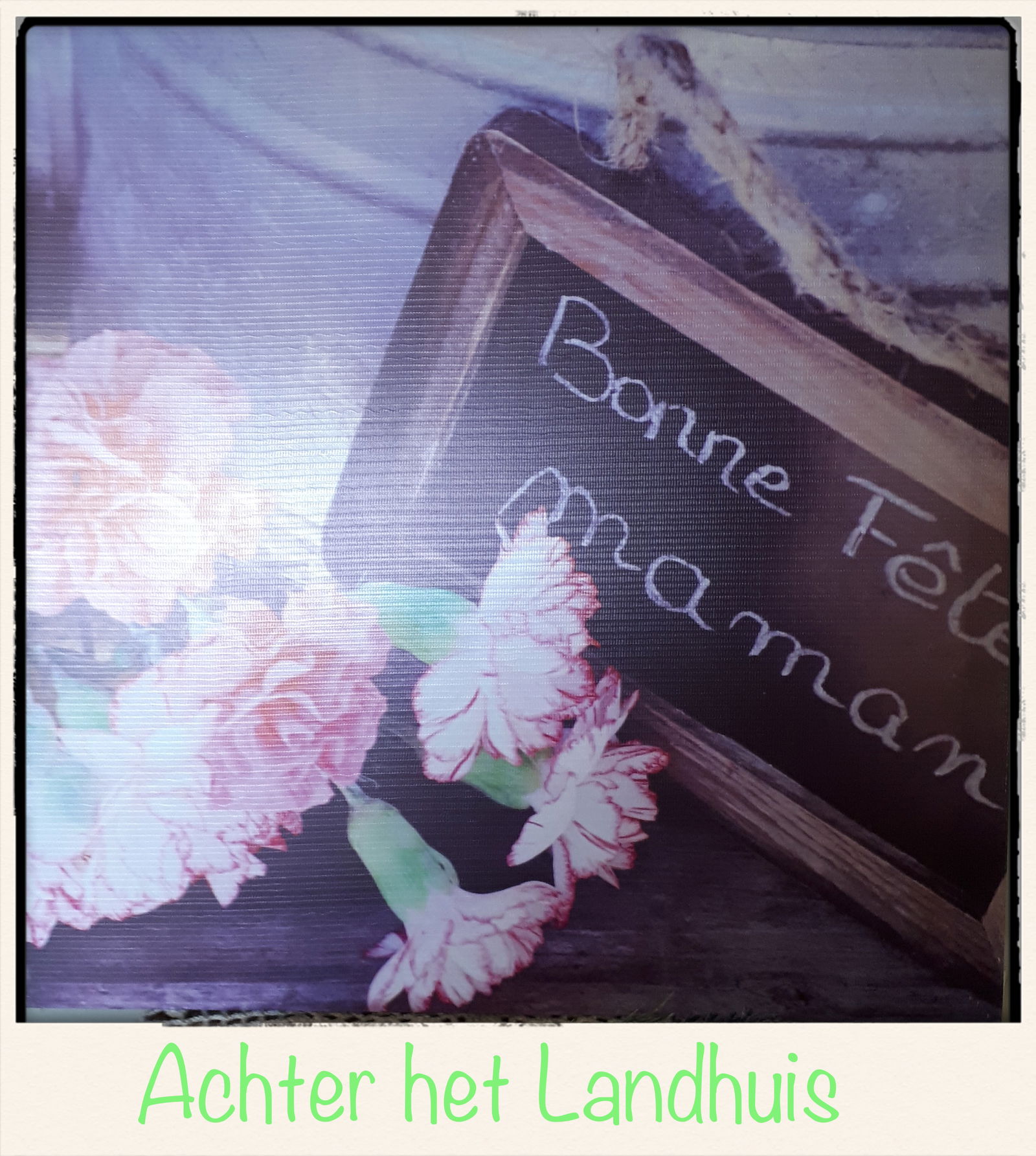 Twee Canvas binnen-buiten prenten met Anjers - Afbeelding 2