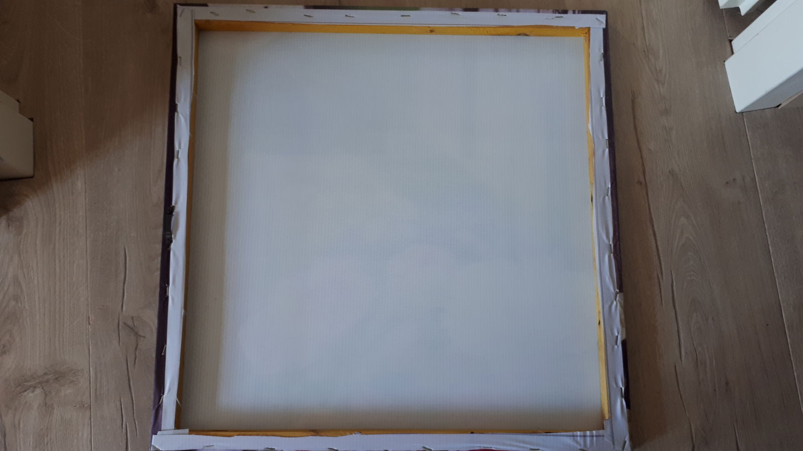 Twee Canvas binnen-buiten prenten met Anjers - Afbeelding 3