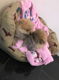 Schattige Pommerse puppy's beschikbaar - 0 - Thumbnail