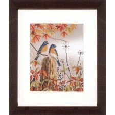 Borduurpakket VOGELS Nieuw ! - nr. 1