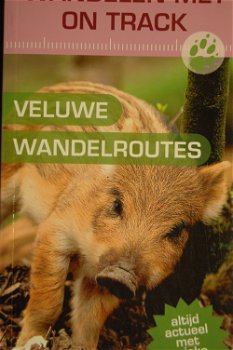 Veluwe wandelroutes (Wandelen met on track) - 0