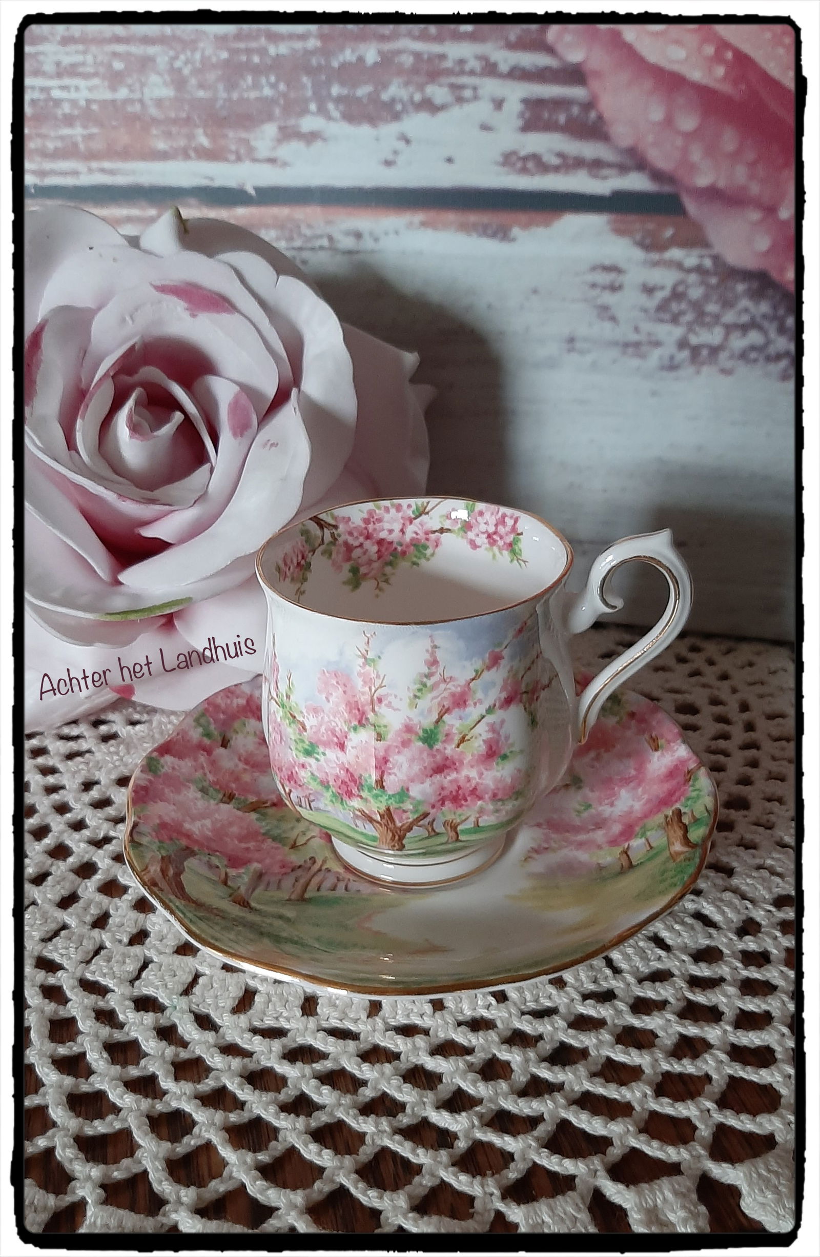 Dames Kop en Schotels oa: Royal Albert, Bavaria en Bone China en een klein Vaasje - Afbeelding 5