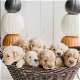 Schattige Golden Retriever-puppy's - 0 - Thumbnail