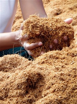 Coco peats and Coir Products for Wholesale - 1