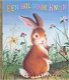 Margaret Wise Brown - Een Hol Voor Knijn (Hardcover/Gebonden) Gouden Boekjes - 0 - Thumbnail