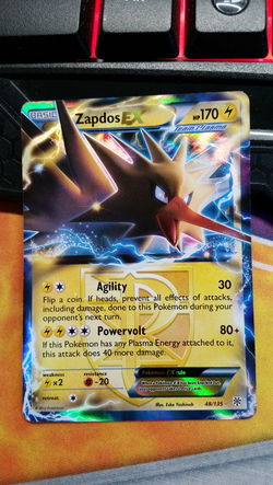 zapdos ex 48/135 BW Plasma Storm nm