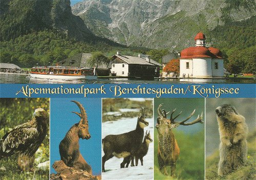 Duitsland Alpennationalpark Berchtesgaden / Konigssee - 0