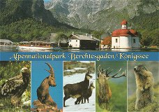 Duitsland Alpennationalpark Berchtesgaden / Konigssee