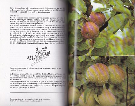 Het appel- en perenboek - 3