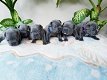 Lovely French Bulldog Puppies Available - 3 - Thumbnail