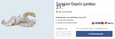 Garnalen Gepeld Gambas - Gambas Kopen - 0 - Thumbnail