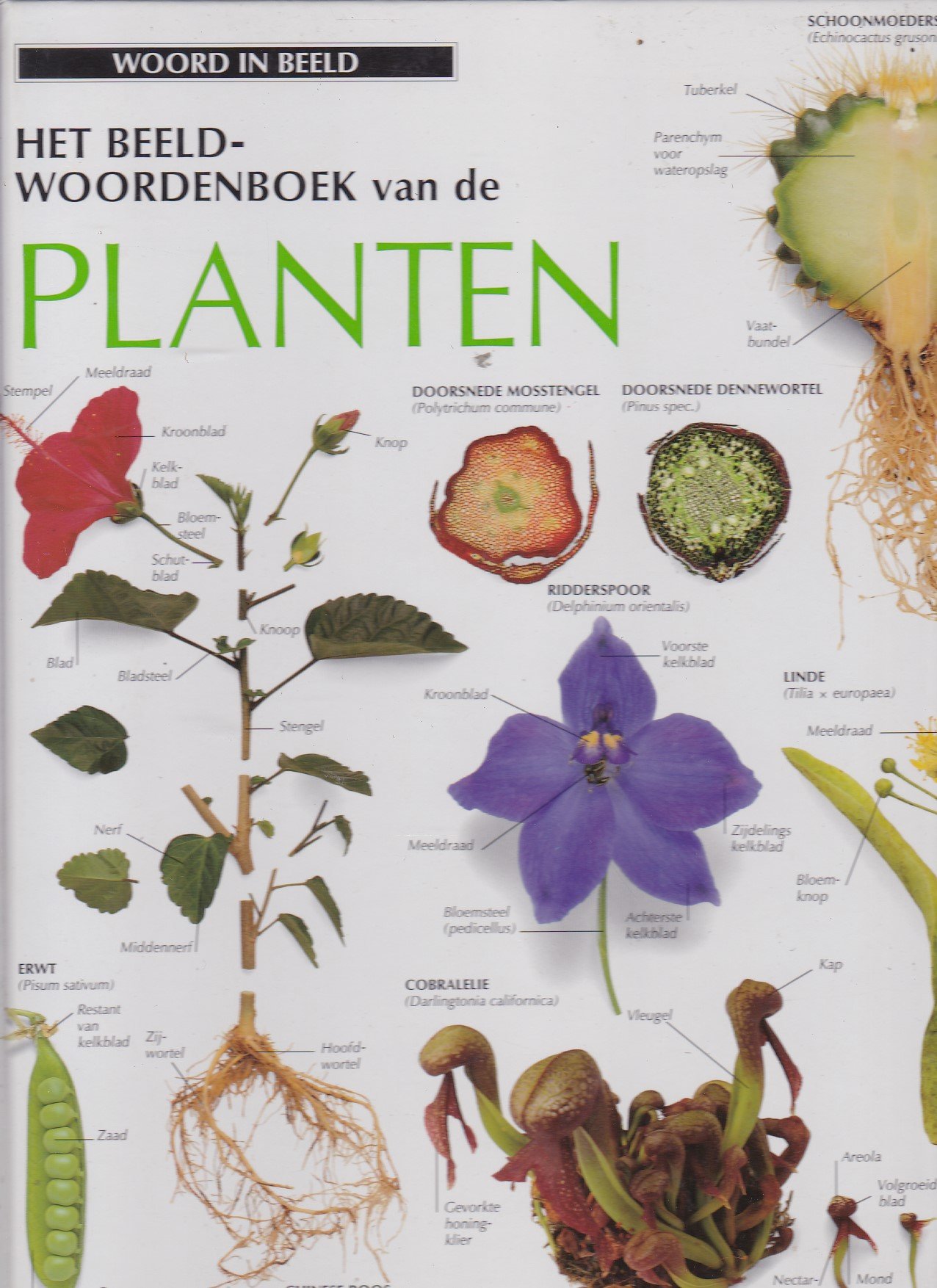 Het beeldwoordenboek van de planten - nr. 1