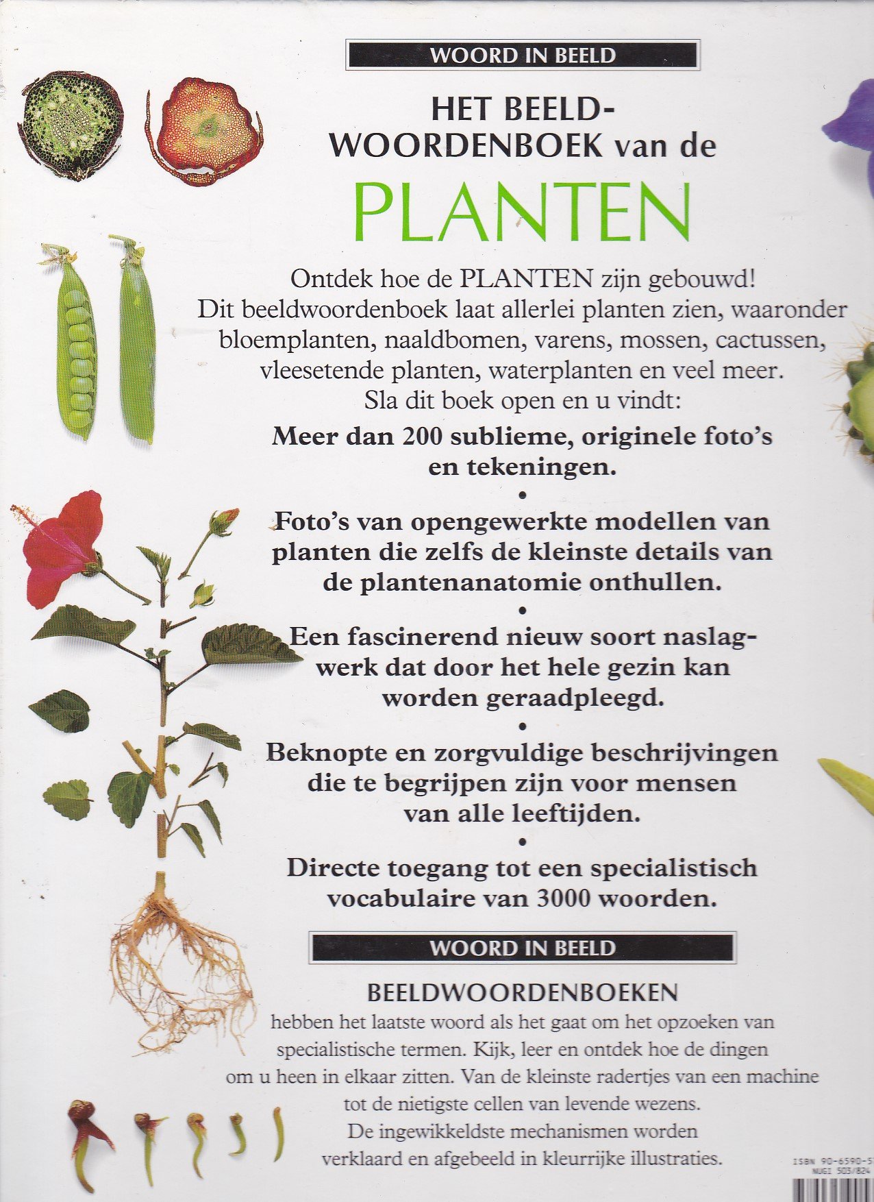 Het beeldwoordenboek van de planten - Afbeelding 2