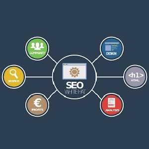 Search Engine Optimization Service Provider in India - 1