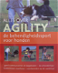 Alles over agility, Viviane Theby - 0 - Thumbnail