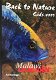 Malawi Cichliden, Ad Konings - 0 - Thumbnail