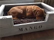 Hondenmand model Mango - 0 - Thumbnail