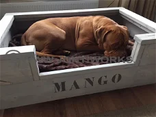 Hondenmand model Mango