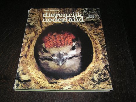 DIERENRIJK NEDERLAND! -Hazelhoff, Fred F. - 0