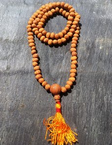 Gebedsmala armband van geslepen Rudraksha pitten