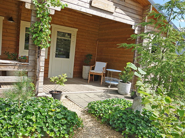 Koopchalet, chalet te koop Brabant ParckVen - Afbeelding 2
