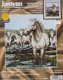 AANBIEDING JANLYNN BORDUURPAKKET, CAMARGUE HORSES - 0 - Thumbnail